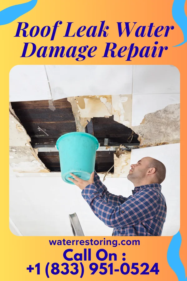 Roof Leak Water Damage Repair in Adams, ND